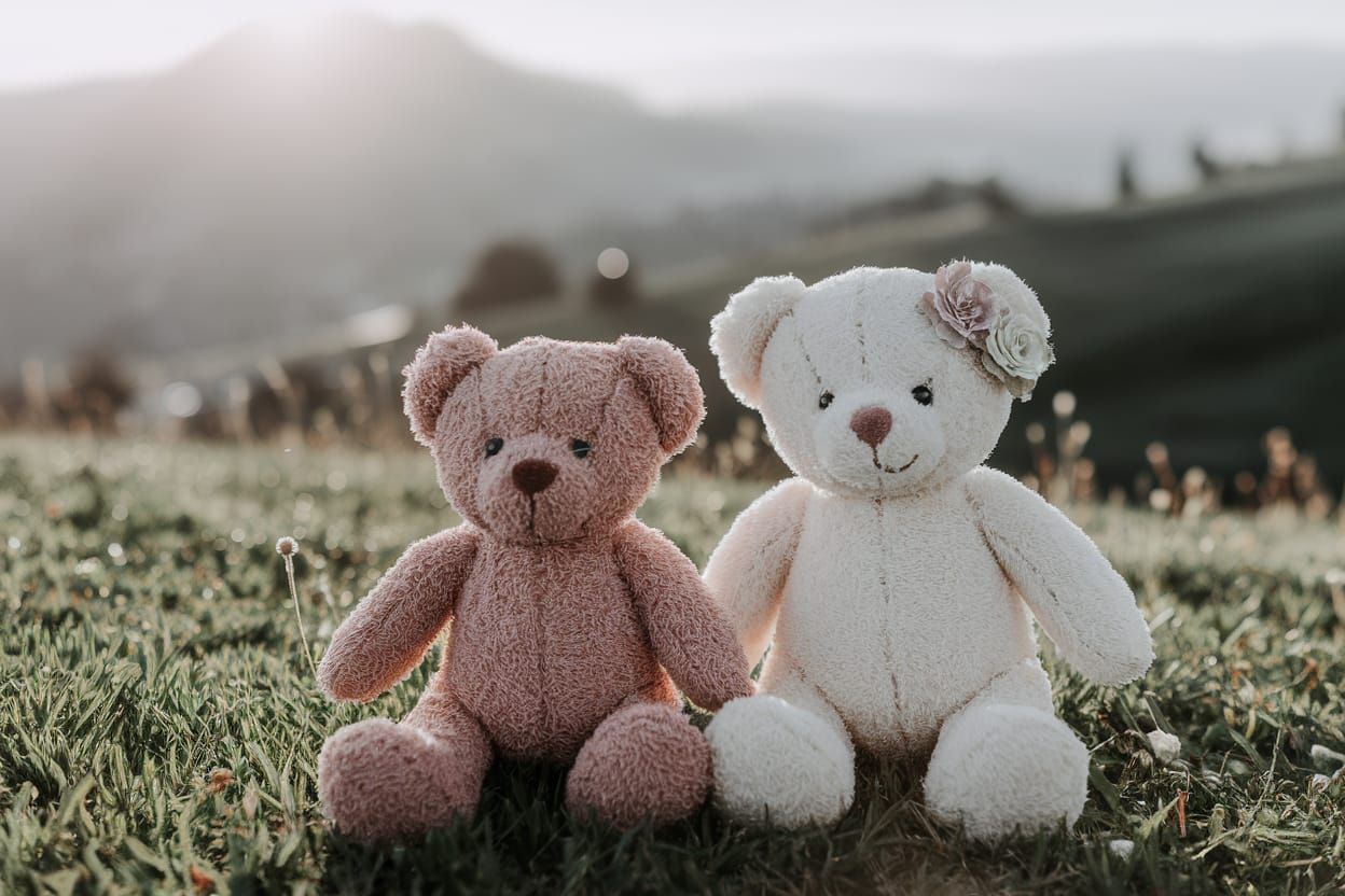 Flower-Teds Grassy Couture Atmospheric Perspective