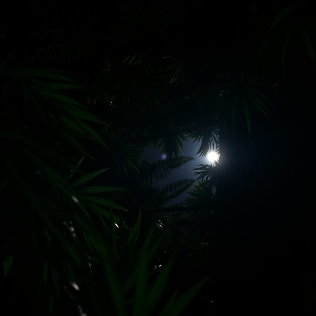 Moonlit Jungle Foliage