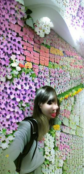 Lush Flower Wall with Colorful Blossoms
