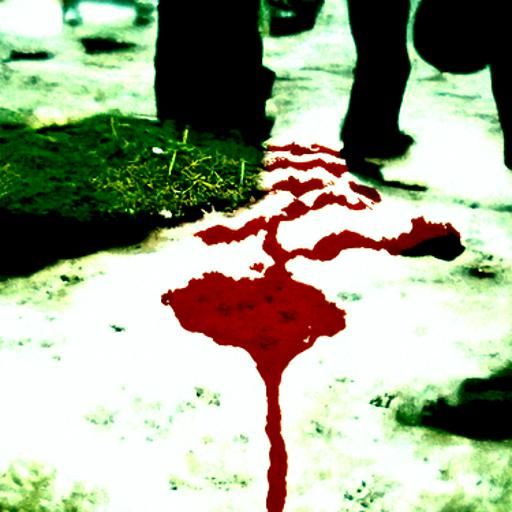 Interconnectedness: Blood Linking All Life