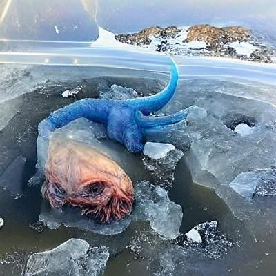 Frozen Ice Monster Seeks Warmth