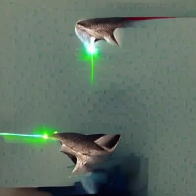 Photorealistic Shark Emitting Laser Beams