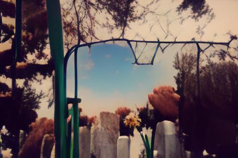 Windswept Cemetery Under Brooding Sky