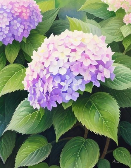 Vibrant Multicolored Hydrangea in Watercolor Style