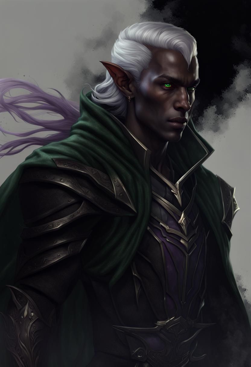 Detailed Dark Elf Warrior Portrait in Fantasy Art