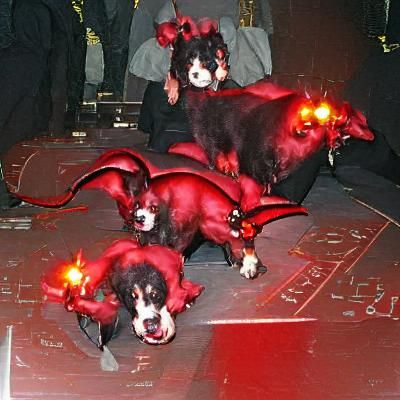 Inferno Dogs: Fiery Logo Design