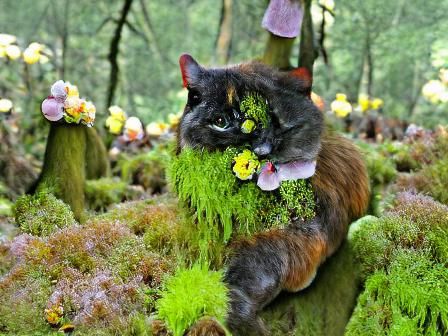 Mossy Cat in Flower Forest: A Whimsical Scene
