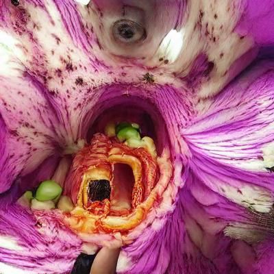 Surreal Horror Flower Arrangement