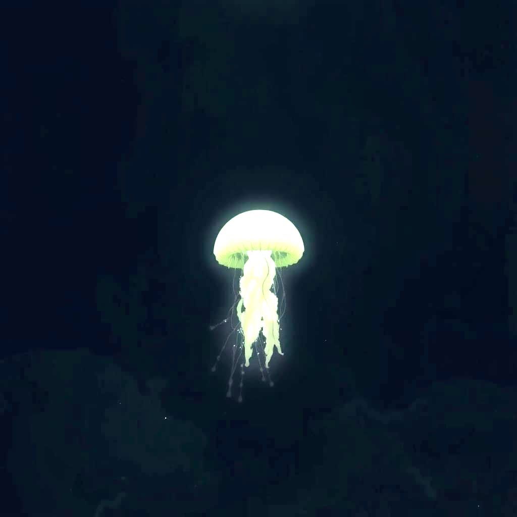 The Bloop Stares From Murky Darkness