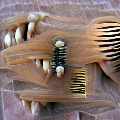 Disturbing Hair Comb Made of Human Teeth