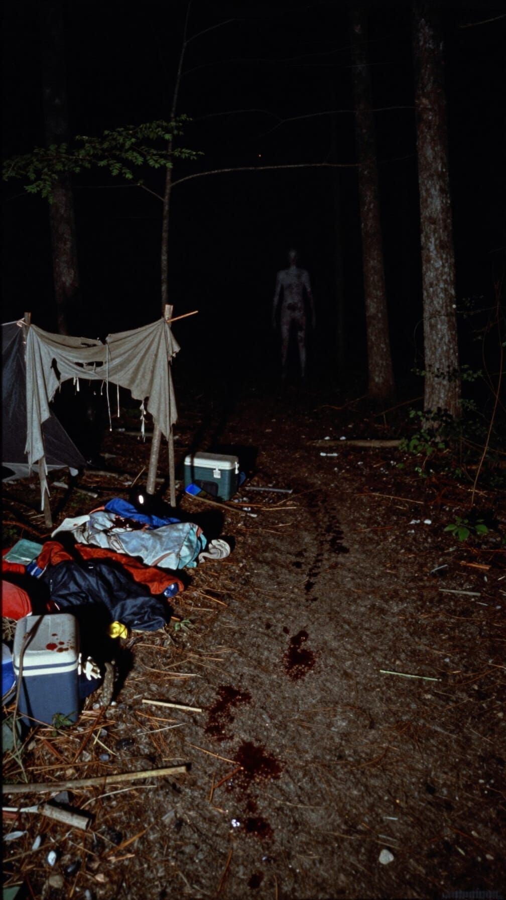 VHS Found Footage Horror in Dark Forest