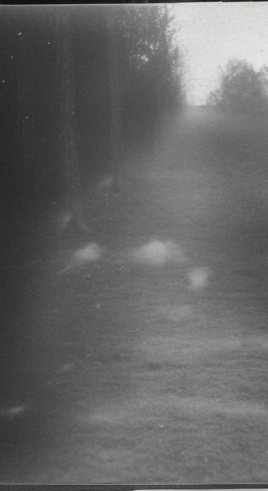 CCTV footage of shadow figures hiding in a dark Romanian cemetary