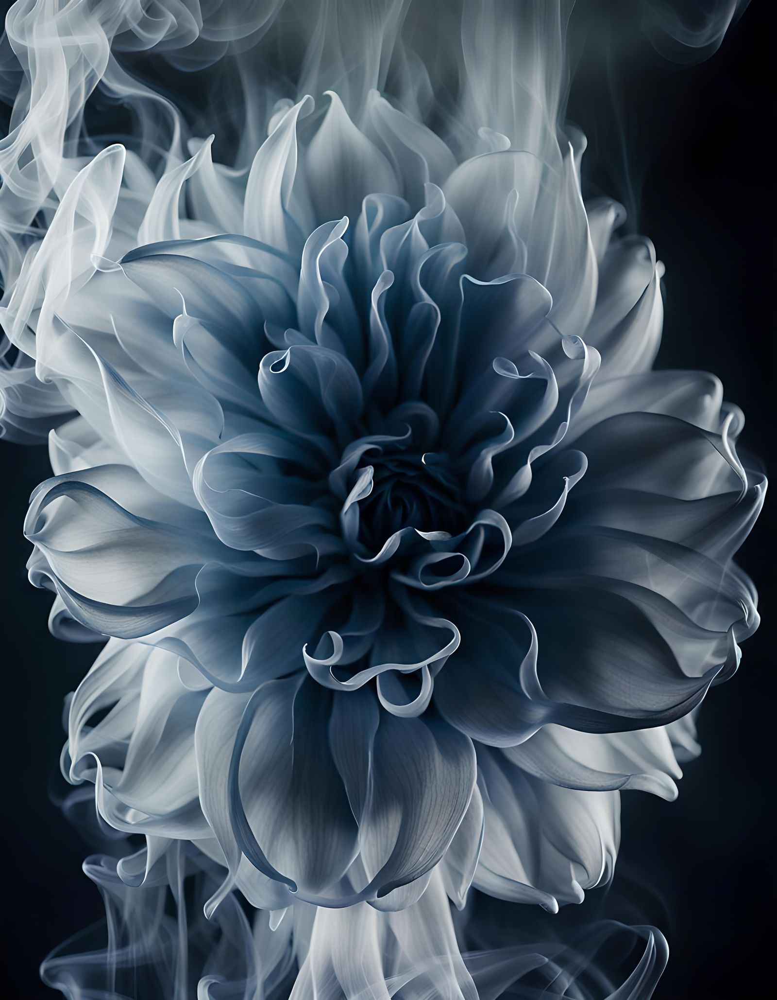 Ethereal Smoke Dahlia: Smoke Art Photography