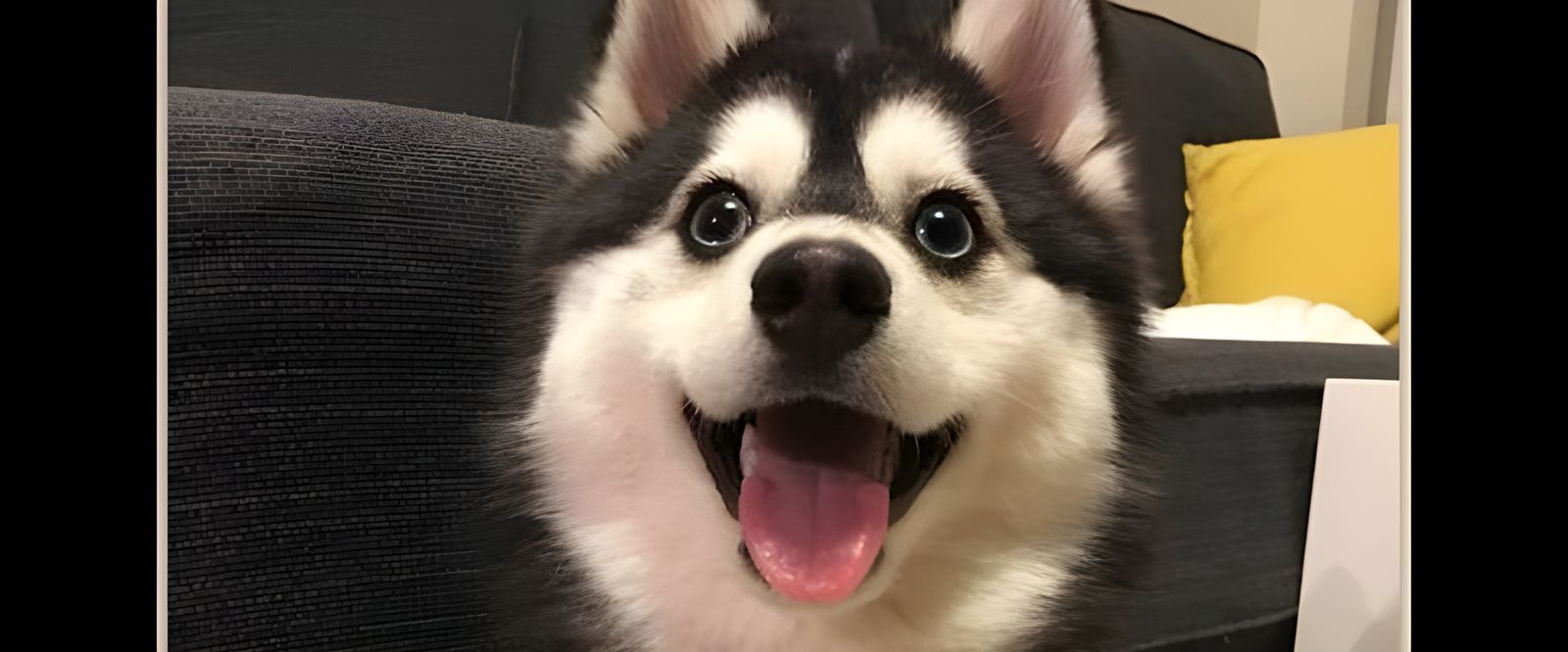 AI Generates an Image of a Happy Dog