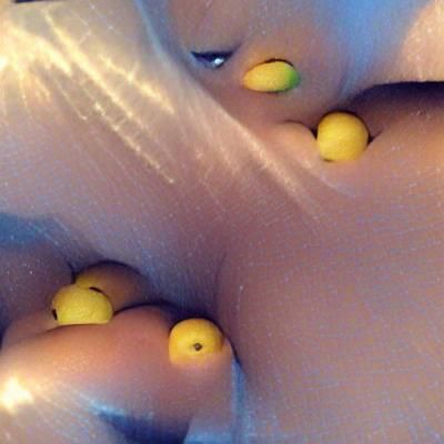 AI Generated Image From a Simple Prompt