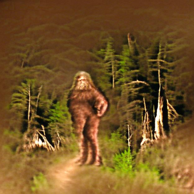 Bigfoot Gaze: A Cryptid Deep in Thought