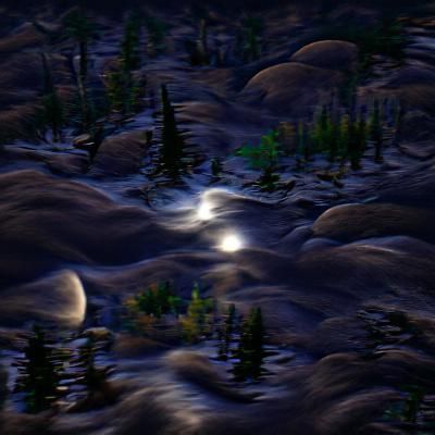 Moonlit Wilderness in 8k Resolution