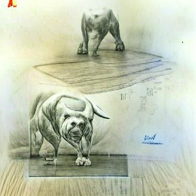 Bull Dog Standing: A Pencil Sketch