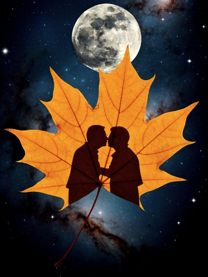 Autumn Maple Leaf Kiss Under a Galactic Sky