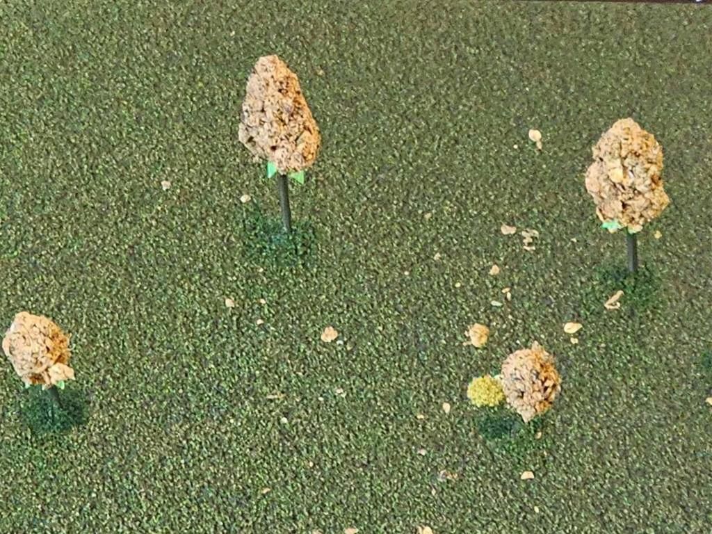 Lush Park Aerial View as Impressionistic Painting