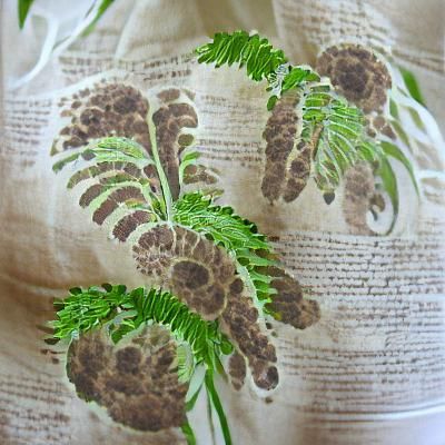 Vintage Botanical Fern Illustration