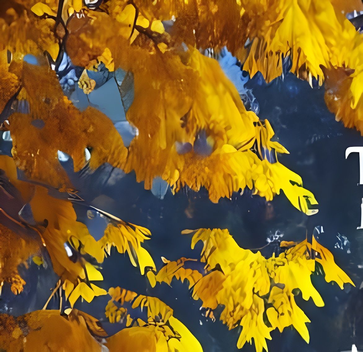 The first autumn and winter