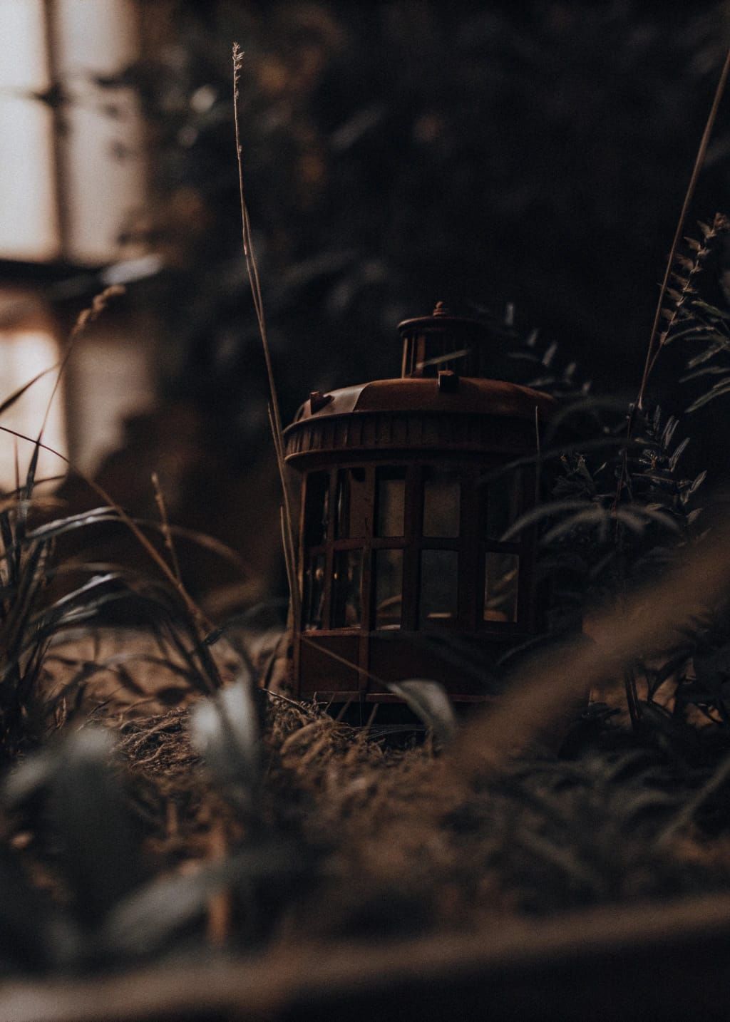 Whimsical Dreamhouse Amidst Fantasy Flora