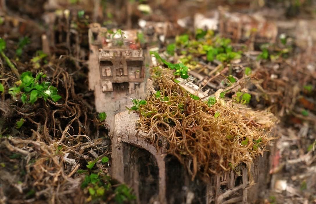 Overgrown City: Nature Reclaims Urban Ruins
