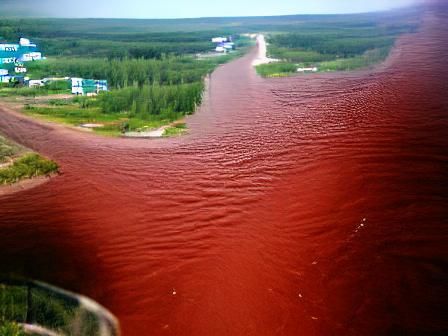 Scenic River Under a Cloudy Sky