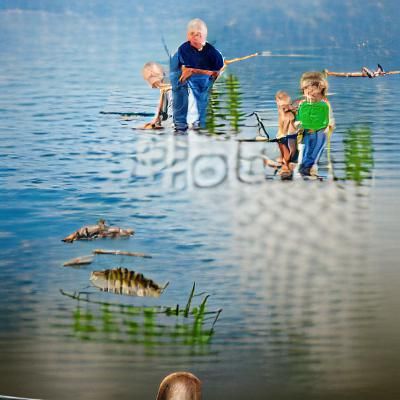 Cartoon Koi Fish Swimming in Lily Pond
