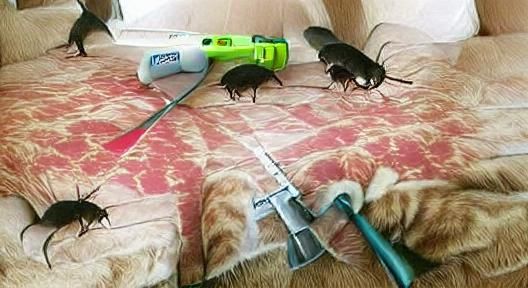 Pest Control Scene: An AI Generated Image