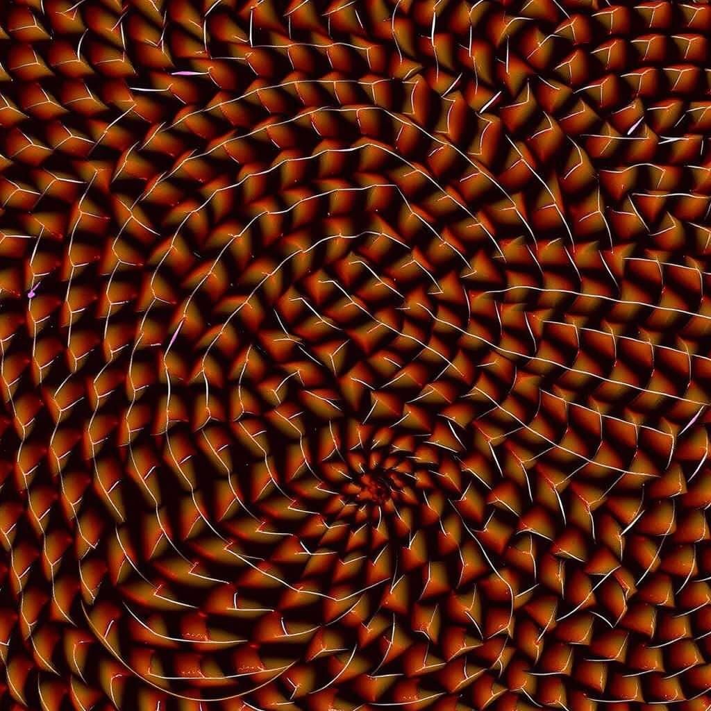 Dynamic Swirling Vortex Motion Abstract Art