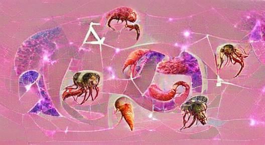 Cancer Zodiac Sign Graphic