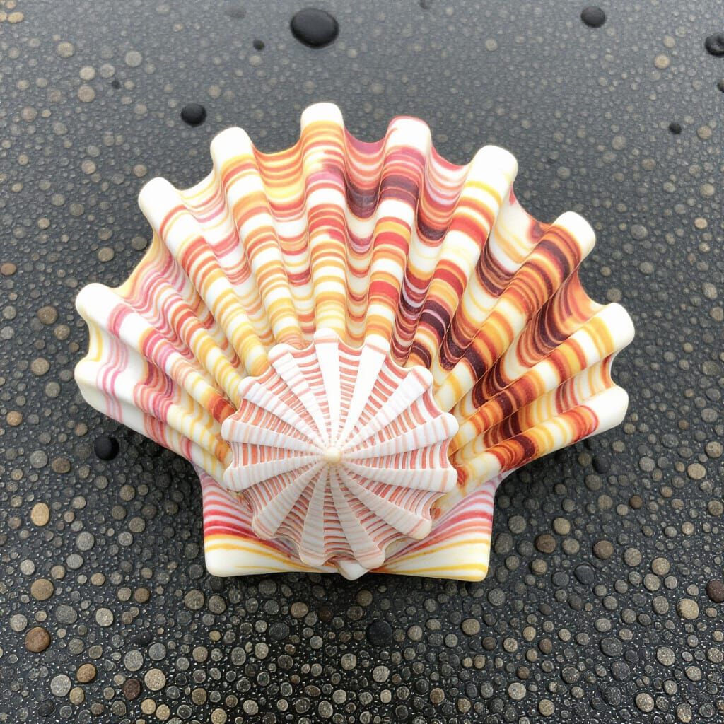 Abstract Shell Art