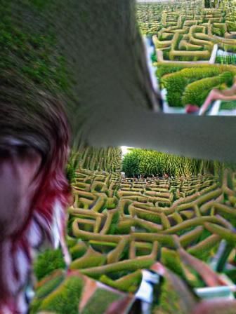 Lost in a Green Hedge Maze Perspective