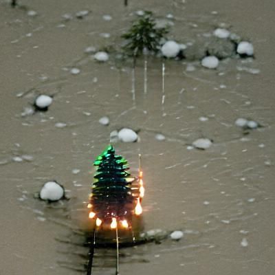 Christmas Tree with Lights in Snow