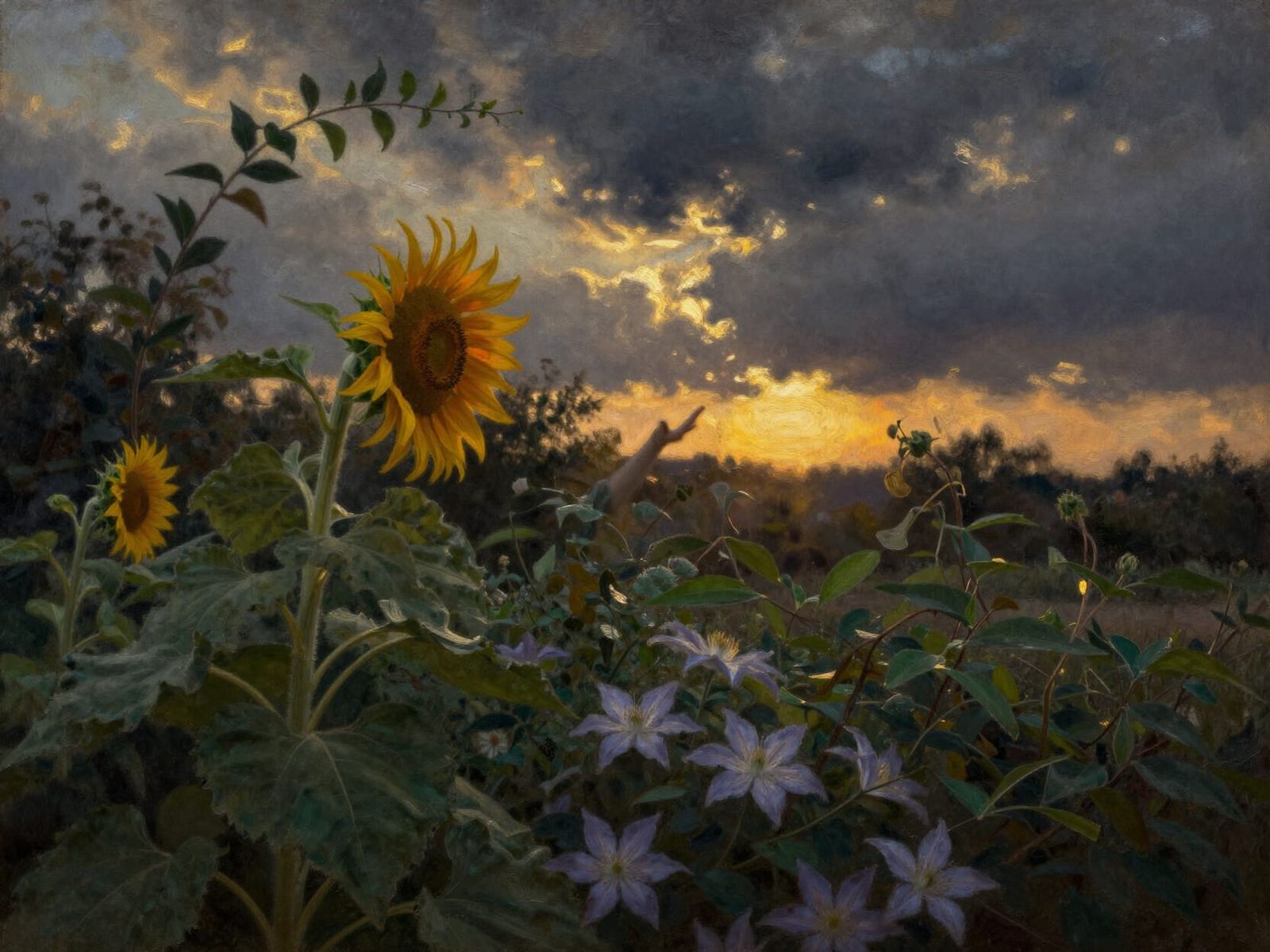 Dusk Garden Scene: Sunflower & Clematis Under Dark Clouds