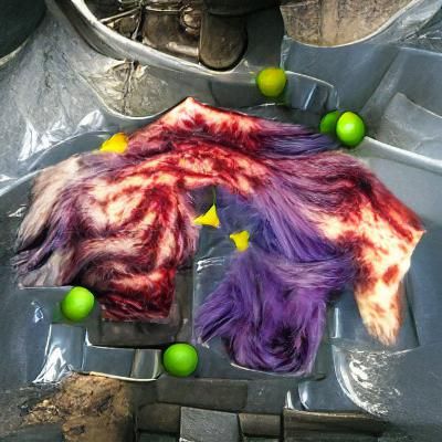 Left 4 Dead in Dye-Transfer Style