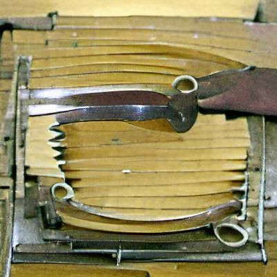 Scissors: A Cutting Instrument Close-Up