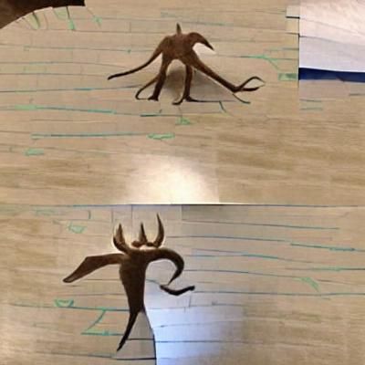 Strange Four-Armed, Four-Antlered, Two-Tailed Creature