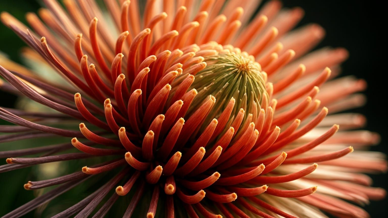 Surreal Cinematic Bloom: A Stunning Flower in Motion