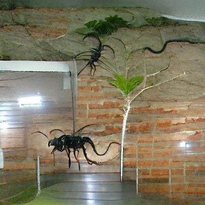 Lush Biodiversity of Mata Atlântica Landscape