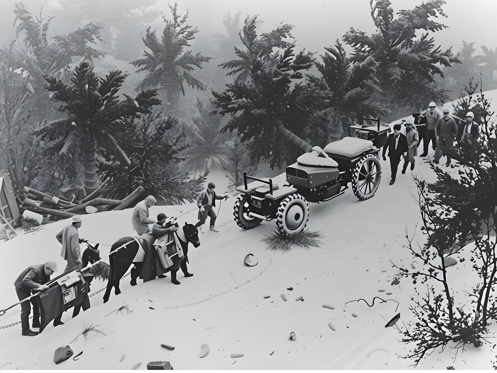 Epic 8K Cinematic Battle Scene in Detailed Matte Painting St...