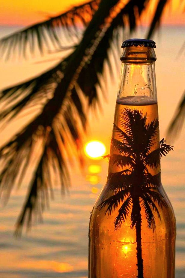 Ice Cold Beer Reflecting Sunset Palm Tree