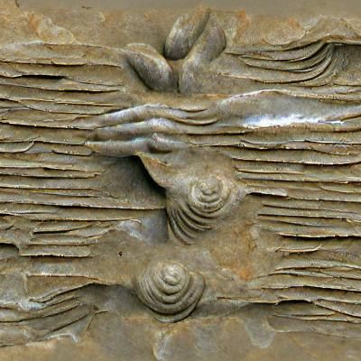 AI Image Generated from Blank Prompt