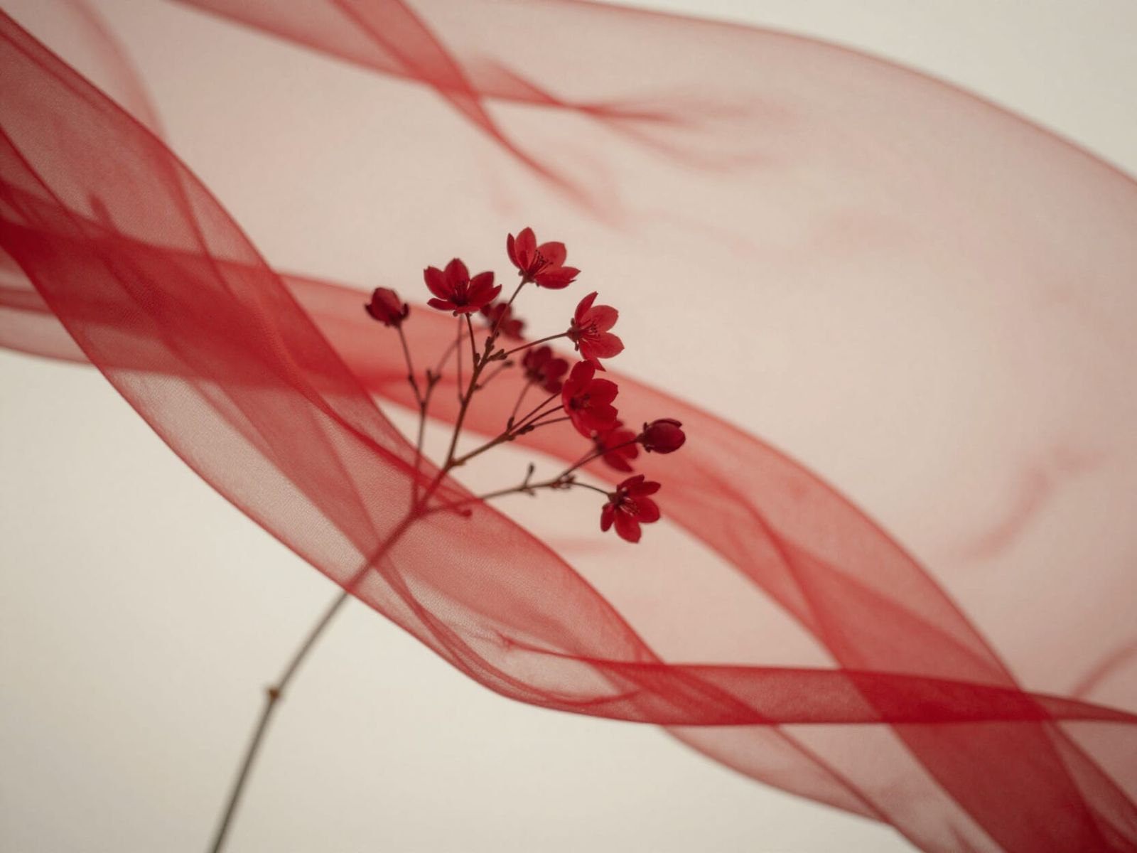 Ethereal Red Flowers Behind Wavy Fabric