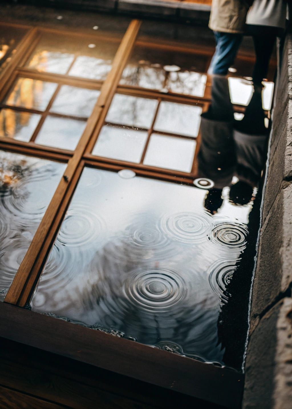 Heliotropic Night Into Your Darkness