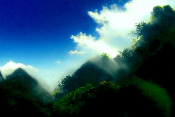 Mystical Mountain Covered in Trees and Vines