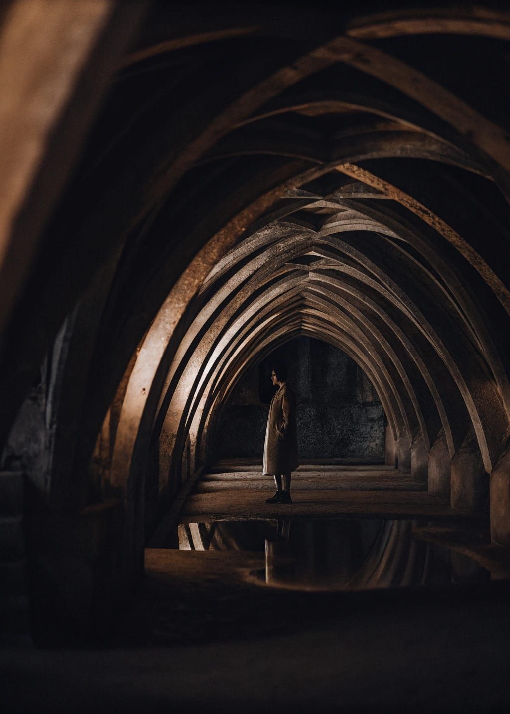 A Murmur Wept Blatant Decorative Lissajous Curves