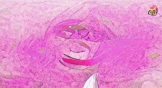 Big Pink Power